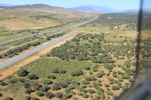 Plataforma del AVE en obras, paralela a la autovía A-66, en las cercanías de Plasencia (al fondo). :: hoy