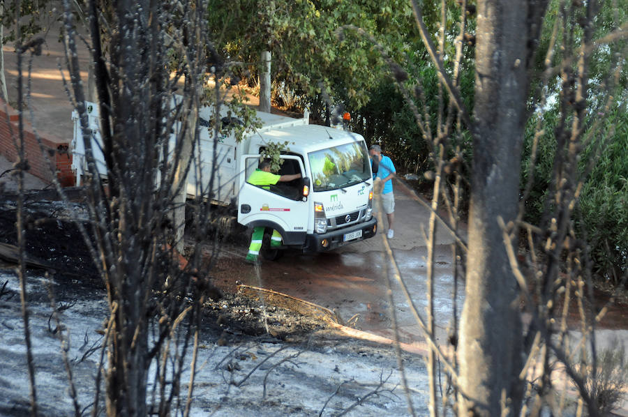 Fuego en los jardines del Guadianilla