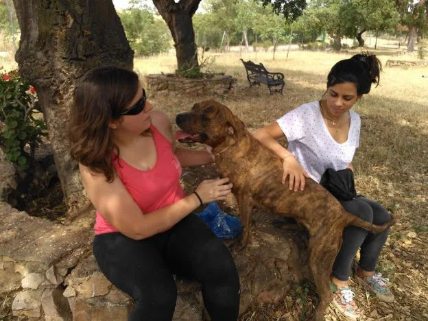 Dos voluntarias juegan con Steysi, que lleva 10 meses en la perrera. :: hoy