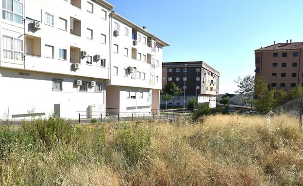 Avenida de Salamanca, en Plasencia, lugar donde cayó el varón de 86 años y perdió el conocimiento.