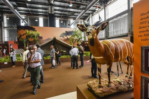 Exposición en la feria de caza de la edición del año pasado. :: HOY