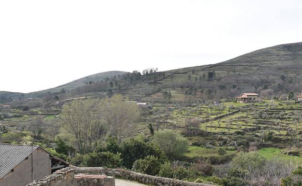 La Junta destina 300.000 euros para conservación de montes en Sierra de Gata