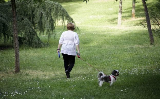 Advierten del peligro que corren perros y gatos por el uso de venenos para luchar contra las plagas