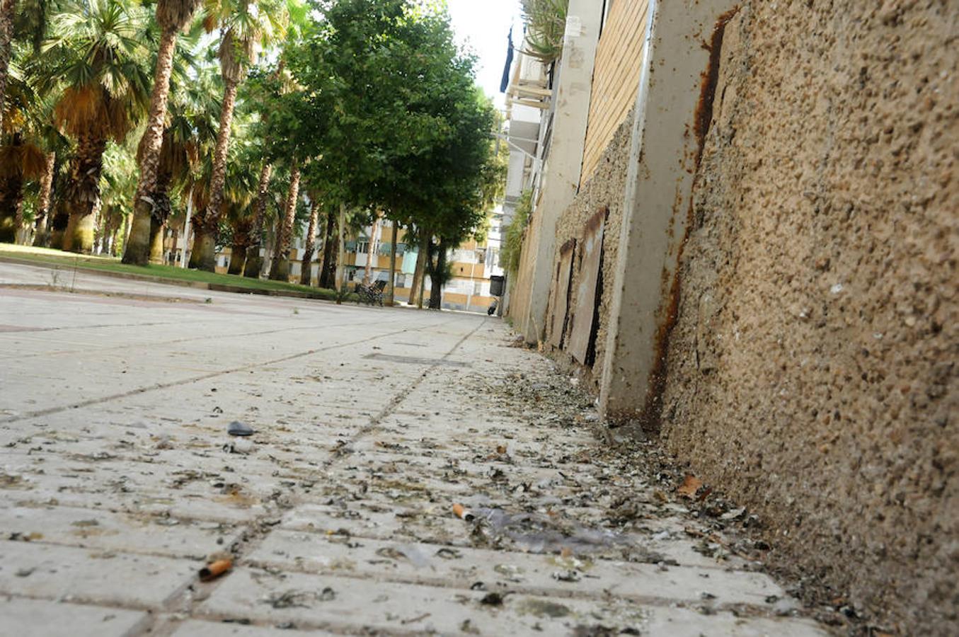 Los vecinos de la Plazoleta, en Mérida, critican la proliferación de los excrementos de las aves y su falta de limpieza.