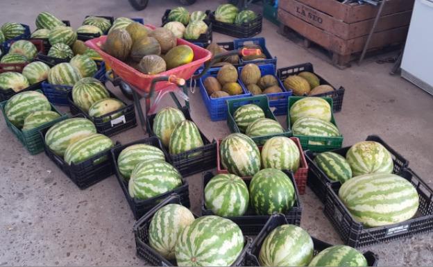 Melones y sandías que se vendían de forma ilegal en el mercadillo de los martes:: HOY