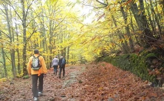 Sierra de Gata celebra la llegada del otoño con rutas senderistas, teatro y tapas