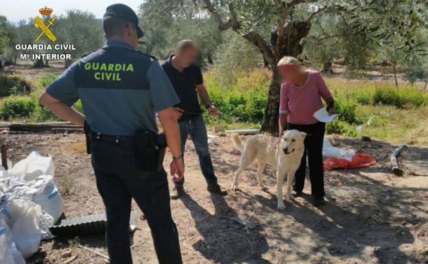 Cinco detenidos por una trama de robos de animales domésticos en Hoyos