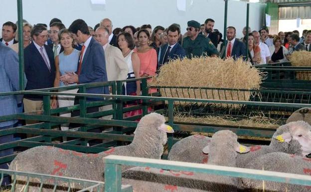 La Feria de Zafra tendrá más de 2.000 cabezas de ganado y medio millar de expositores