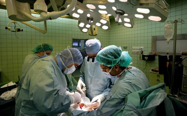 Cerca de 5.000 enfermos mueren cada año en espera de un trasplante de riñón