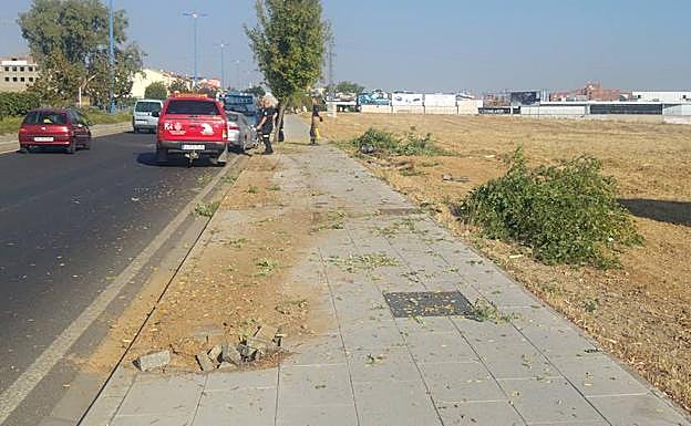 El accidente se ha produdcio en la Ex-310