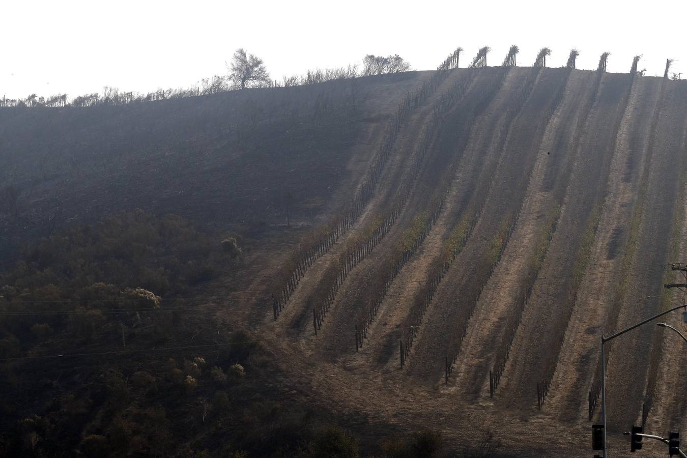 Los devastadores incendios que desde el domingo avanzan en el norte de California (EE.UU.) han dejado al menos 17 muertos y han arrasado más de 46.500 hectáreas, según los últimos datos facilitados por el Departamento Forestal y de Protección contra Incendios del estado