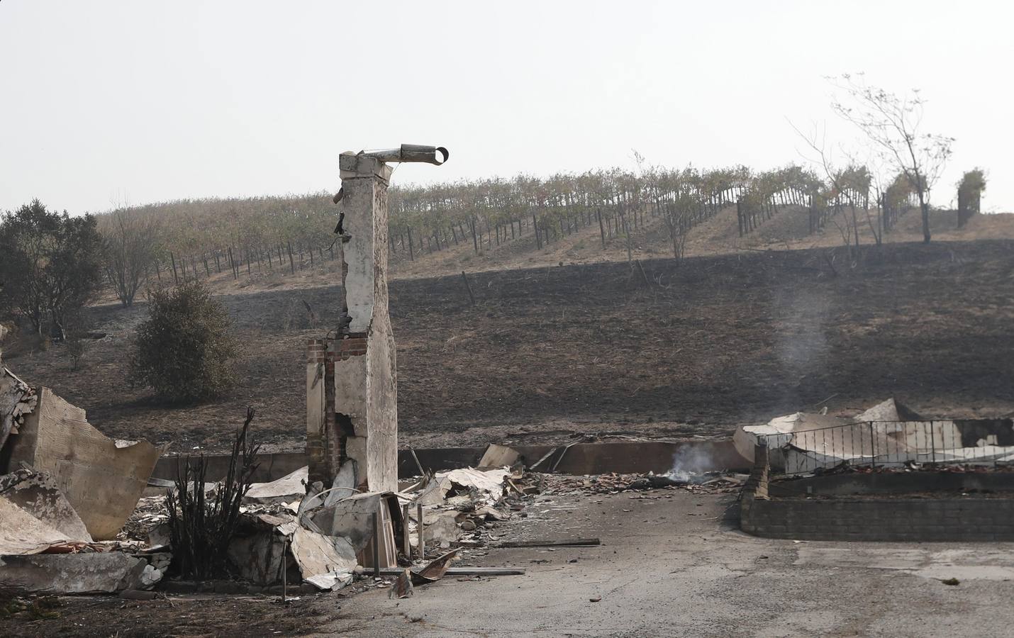 Los devastadores incendios que desde el domingo avanzan en el norte de California (EE.UU.) han dejado al menos 17 muertos y han arrasado más de 46.500 hectáreas, según los últimos datos facilitados por el Departamento Forestal y de Protección contra Incendios del estado