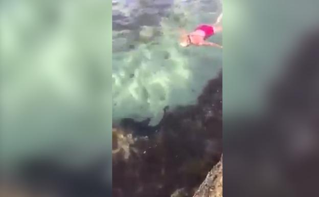 Rescate de un tiburón