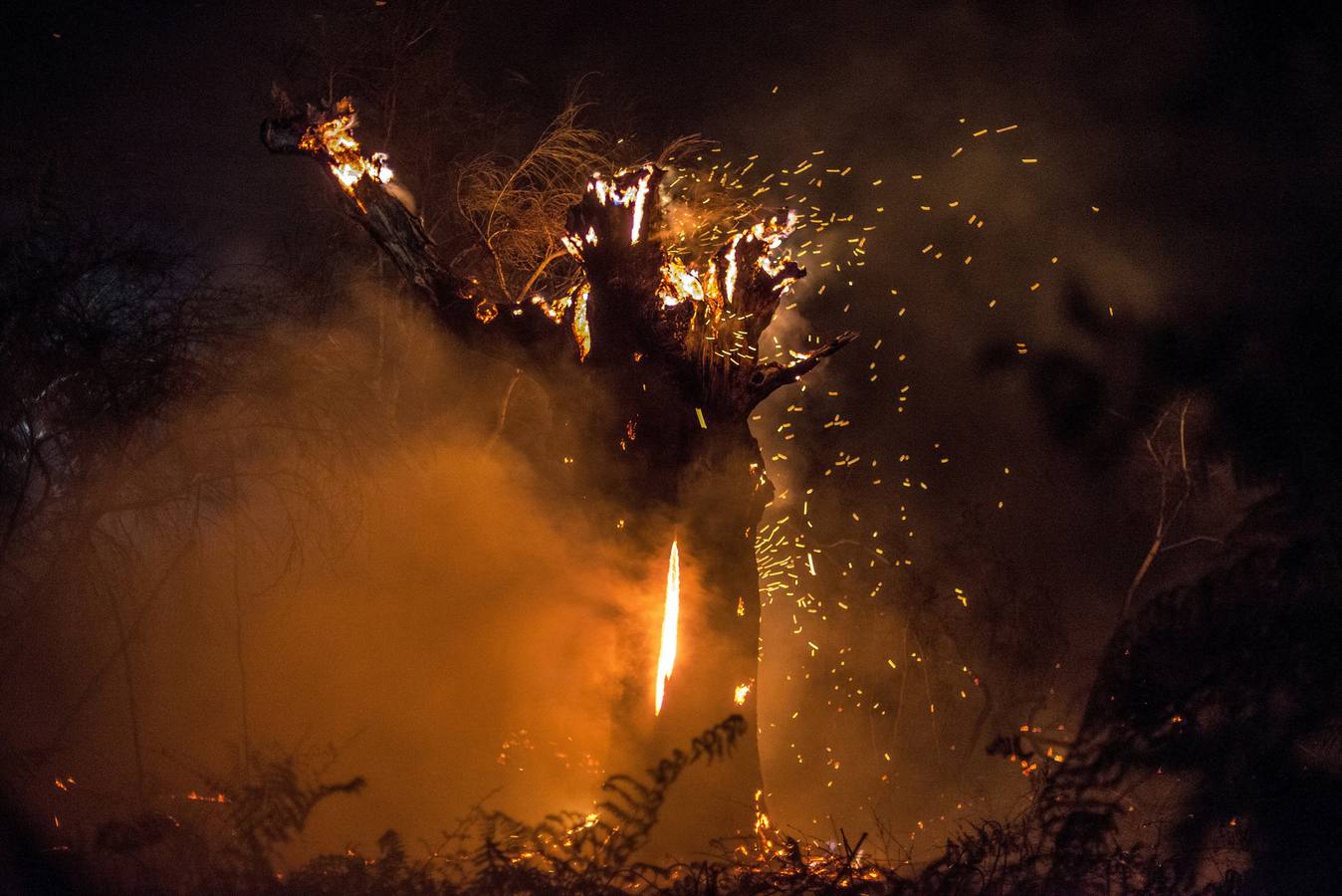 Los servicios sanitarios han atendido durante la noche a multitud de personas afectadas por inhalación de humo, así como a ocho personas por quemaduras, de las cuales tres permanecen ingresadas