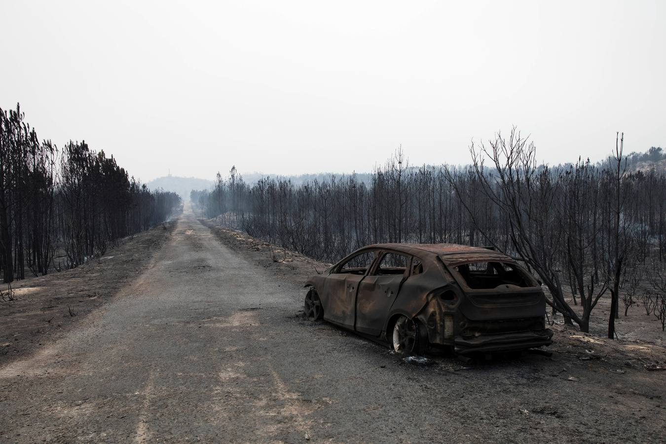 Vista de los daños en el paisaje tras un incendio forestal en un camping en Marinha Grande, en el centro de Portugall