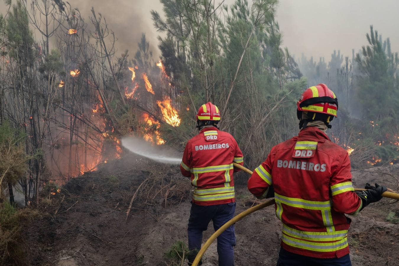 Efectivos de bomberos intentan sofocar las llamas en un incendio forestal declarado en Gaeiras, Marinha Grande, centro de Portugal 