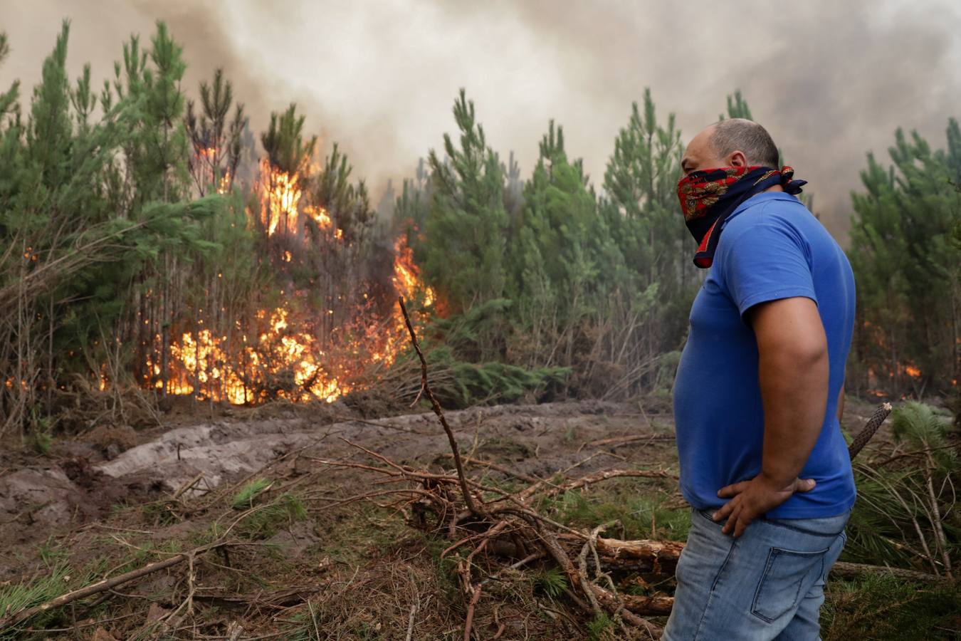 Efectivos de bomberos intentan sofocar las llamas en un incendio forestal declarado en Gaeiras, Marinha Grande, centro de Portugal 