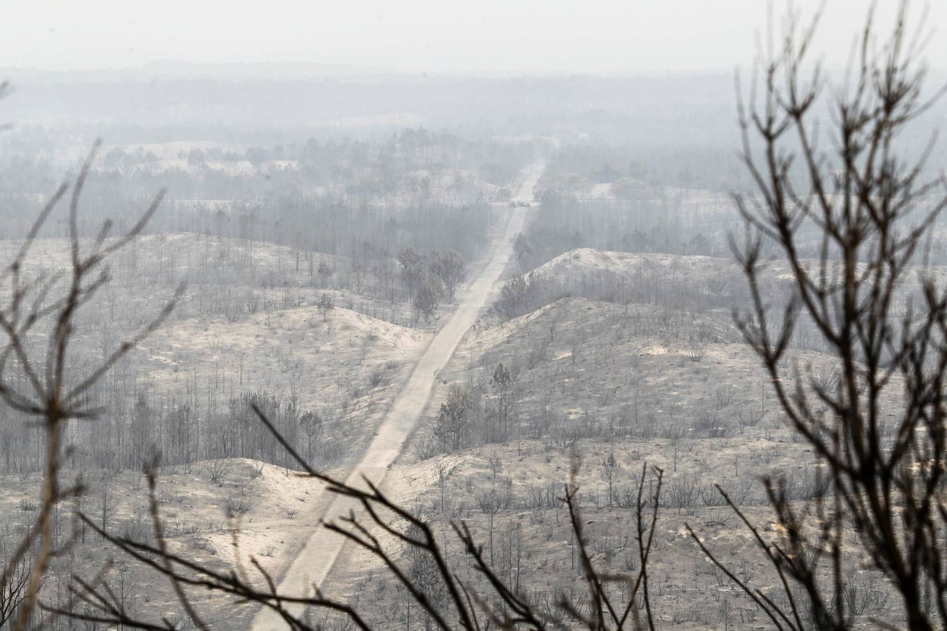 El centro y el norte Portugal sufren desde el domingo una serie de incendios que ya han causado 35 muertos y al menos 6.500 hectáreas son pasto del fuego