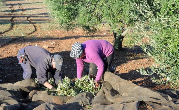 La Asamblea insta al Gobierno a reducir las peonadas para cobrar el subsidio agrario