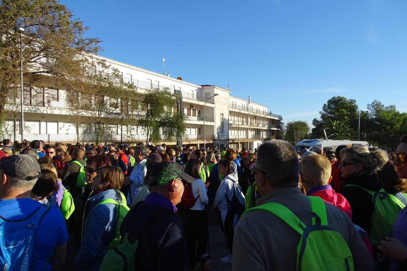 La VI Marcha de La Vereína a favor de la Asociación Española Contra el Cáncer finalizó en la Plaza Mayor