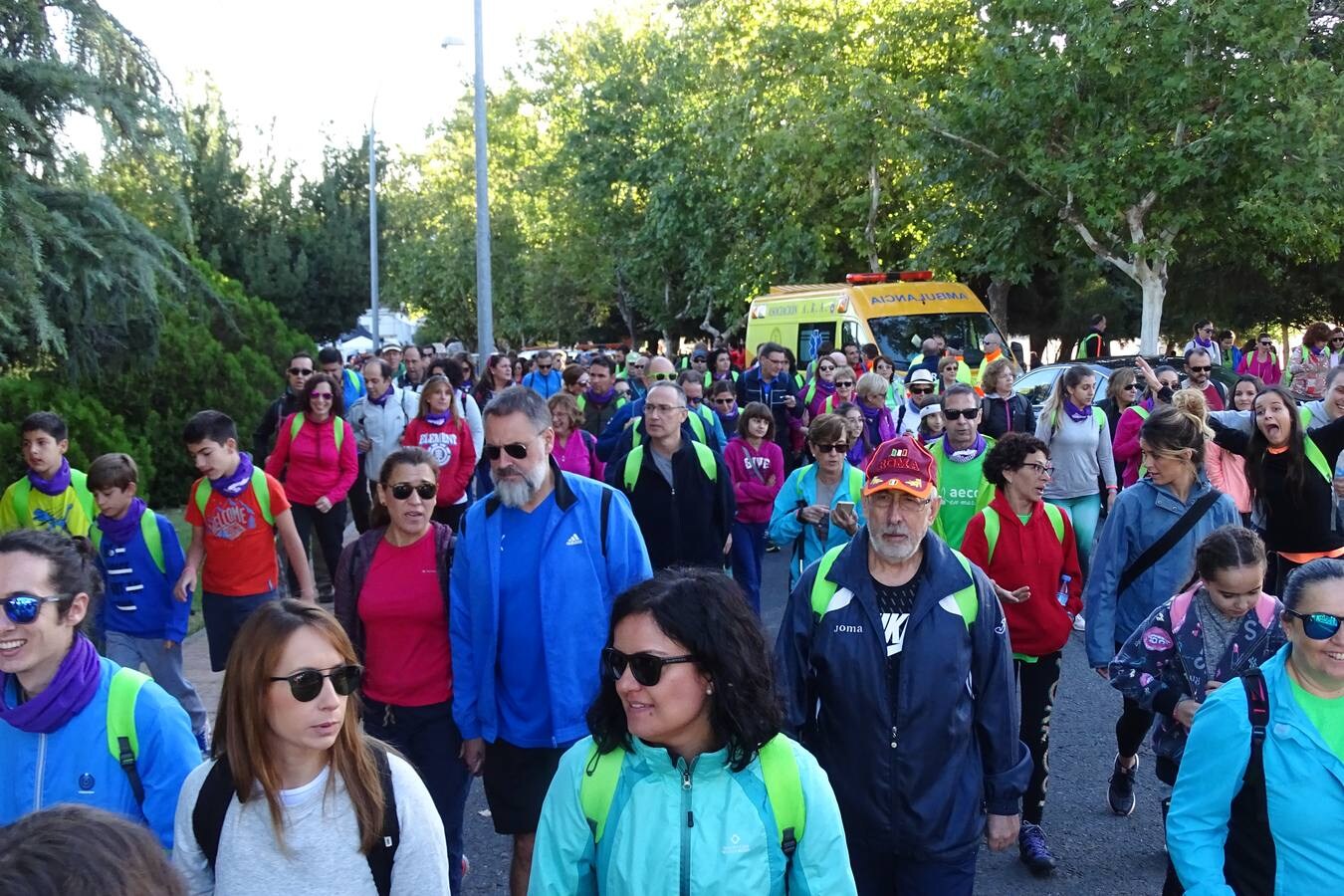 La VI Marcha de La Vereína a favor de la Asociación Española Contra el Cáncer finalizó en la Plaza Mayor