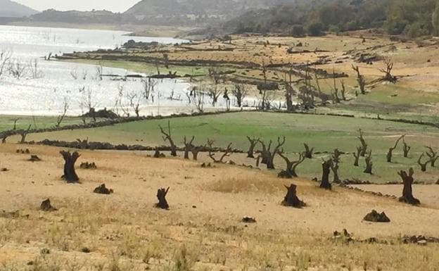 El embalse de Baños de Montemayor acusa la falta de lluvias:. CEDIDA 