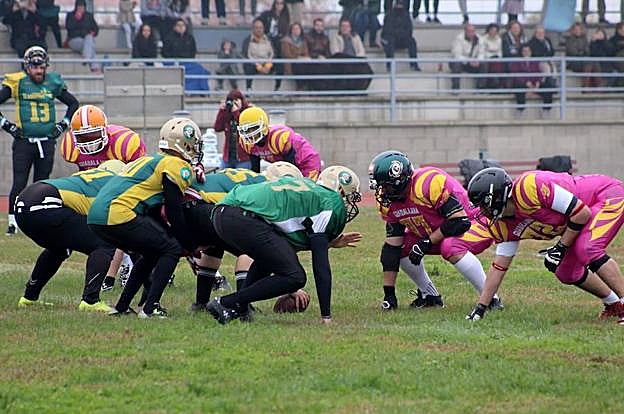 La línea ofensiva de los Gladiators de Navalmoral se disponen a realizar un snap (inicio de jugada). 