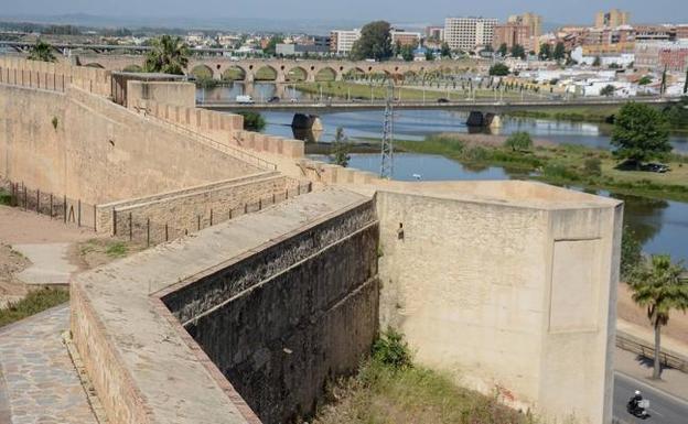 Los socialistas critican que solo se inviertan 20.000 euros en limpiar la Alcazaba