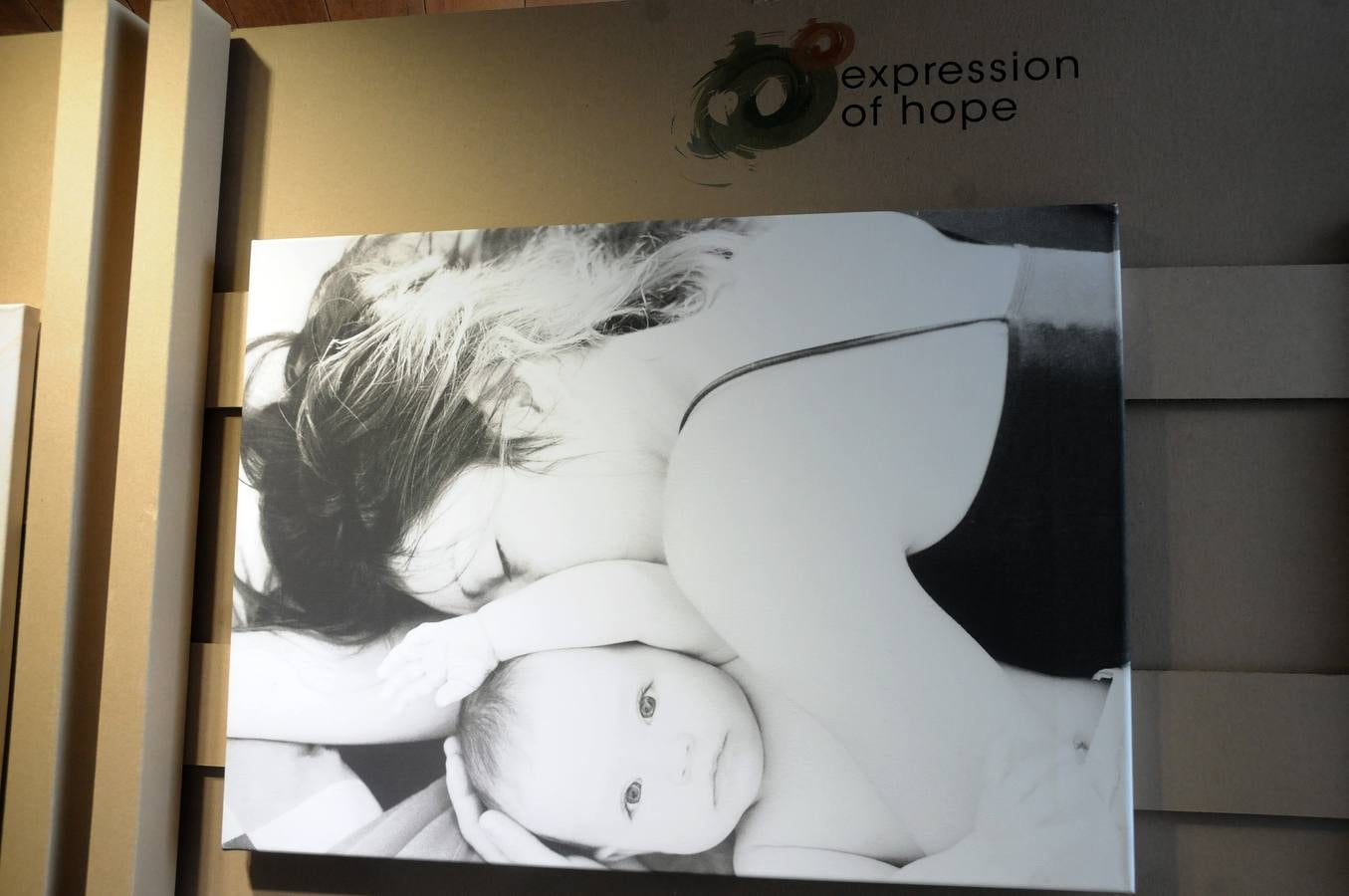Las obras de la exposición "Expression of hope"(expresión de esperanza) han sido creadas por pacientes de enfermedades raras con el fin de conncienciar y sensibilizar a la sociedad de estas patologias. Las obras se presentan en cuadros, pinturas y dibujos en el salón de Pasos Perdidos de la Asamblea de Extremadura.