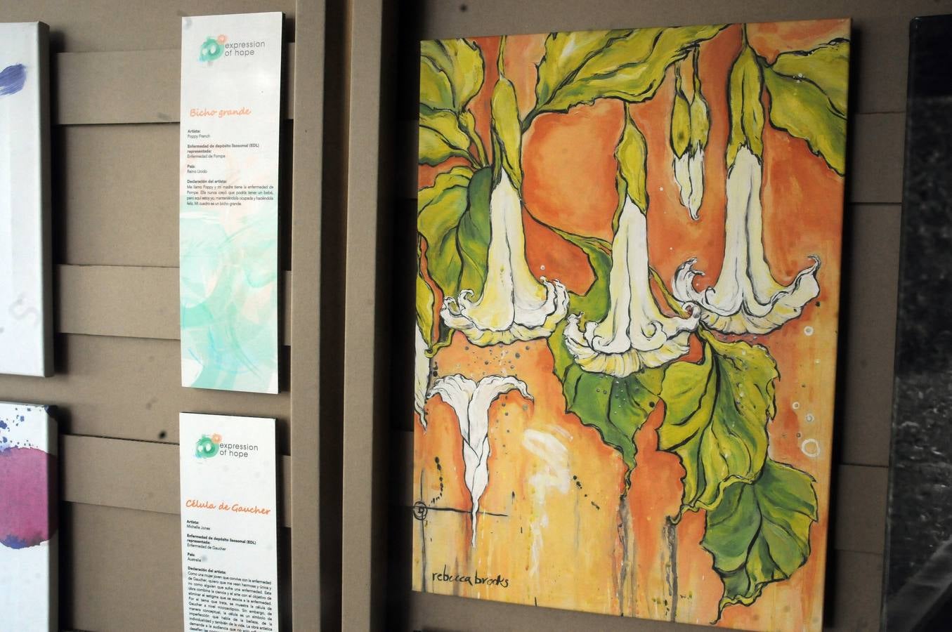 Las obras de la exposición "Expression of hope"(expresión de esperanza) han sido creadas por pacientes de enfermedades raras con el fin de conncienciar y sensibilizar a la sociedad de estas patologias. Las obras se presentan en cuadros, pinturas y dibujos en el salón de Pasos Perdidos de la Asamblea de Extremadura.