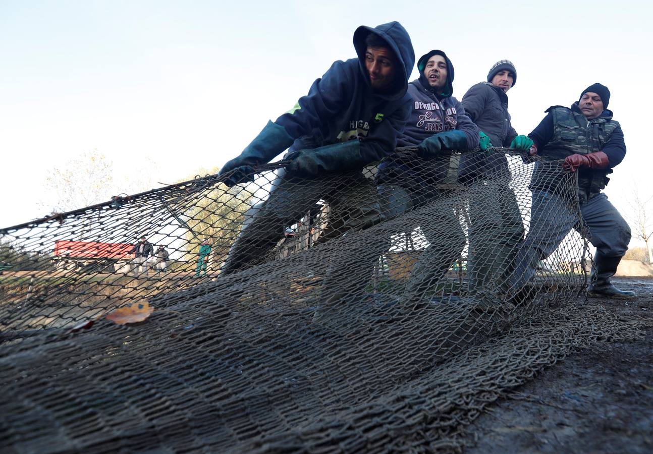 Los pescadores de una de las mayores empresas de pesca de agua dulce de Europa clasifican los peces en la Gran llanura húngara en Hortobagy