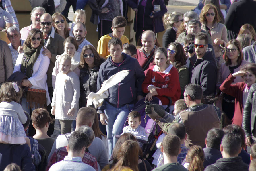 Última jornada del evento, que este año ha celebrado su edición número 17