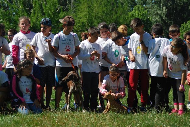 Alumnos en la exhibición con perros de la clausura del PROADES del curso pasado. :: FEDEXCAZA