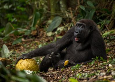 Imagen secundaria 1 - Las fotos de naturaleza más impactantes