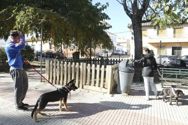 Las mejores bolsas para recoger las heces de tu perro, según los usuarios  de