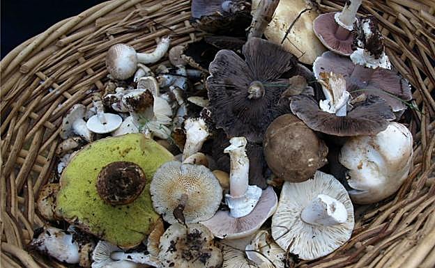 La Siberia se pone sibarita