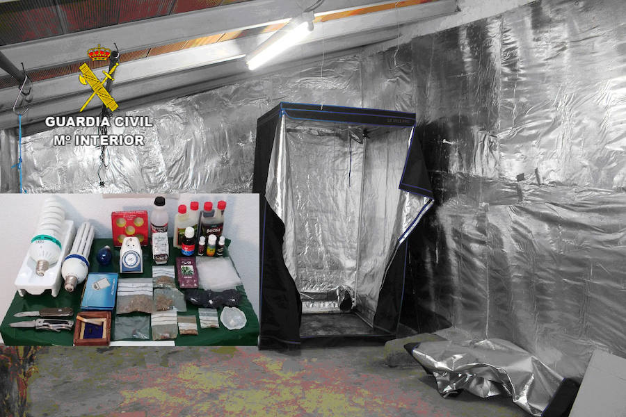 Sistema preparado para la plantación del cultivo de marihuana:: HOY