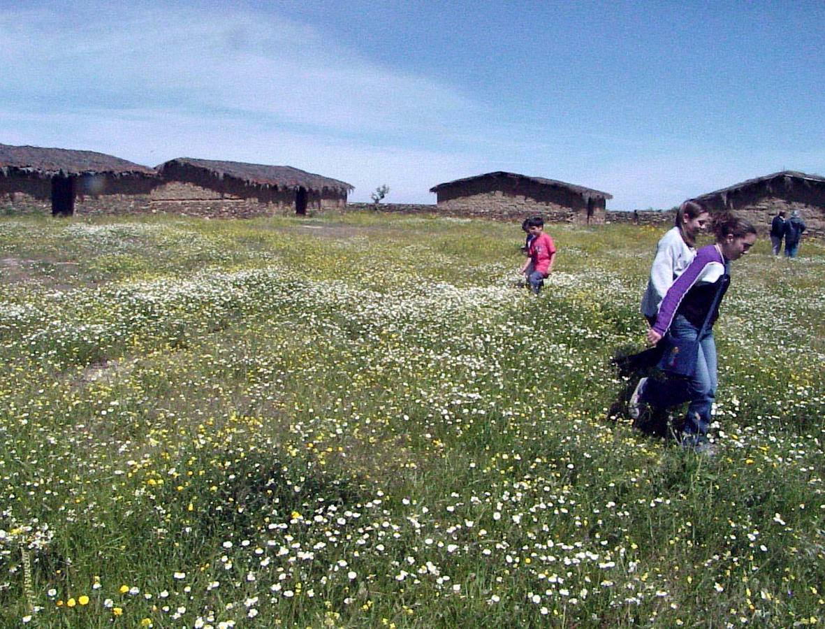 7- Lugar en donde hace siglos estaba Aldeacentenera, en donde se ha reproducido su castro celta