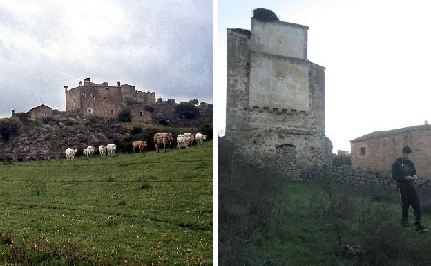 Zamarrillas fue misteriosamente abandonada. :: 