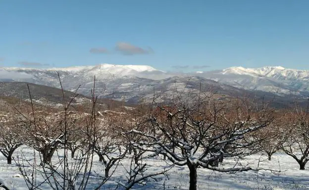 Paisaje nevado en Jaraíz de la Vera:: Joaquín Bote Santos