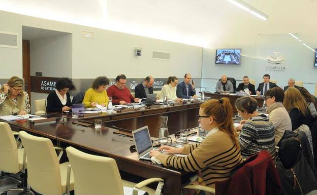 Comisión de Hacienda de la Asamblea de Extremadura:. BRÍGIDO