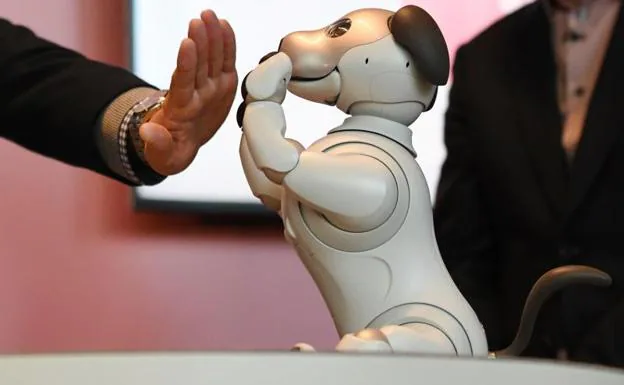 Imagen principal - El perro-robot Aibo de Sony arrasa en la preventa