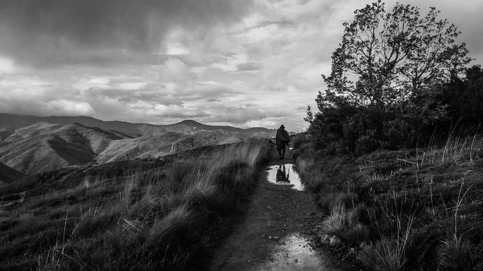 La religión fue la chispa que encendió la Ruta Jacobea, pero hoy quienes recorren los 750 kilómetros entre Roncesvalles y Santiago lo que buscan es un espacio de reflexión.