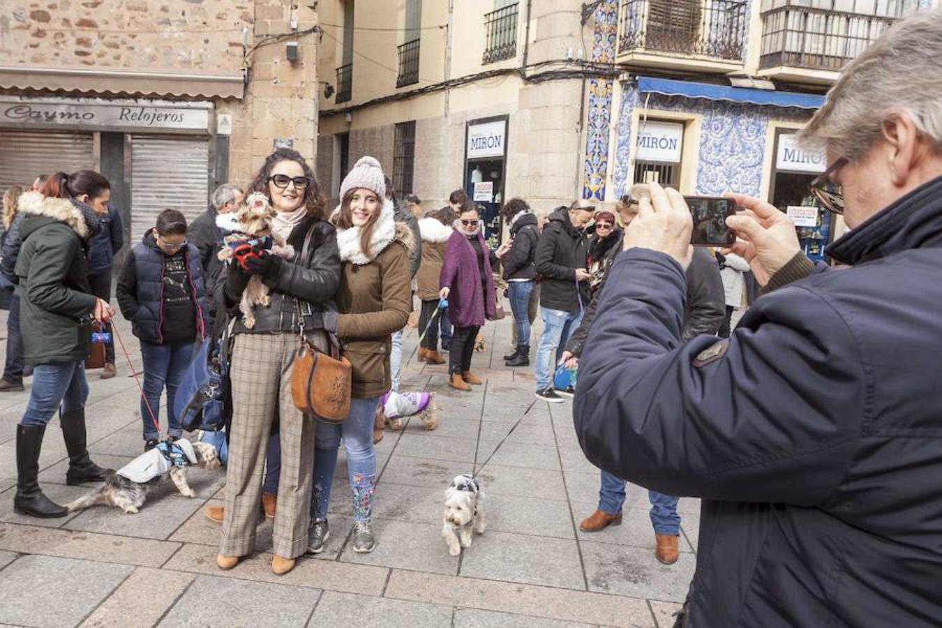 Las mascotas se dieron cita en la Plaza de San Juan para asistir a la bendición 