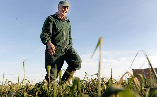 Los agricultores extremeños reciben 378,8 millones de euros del fondo Feaga