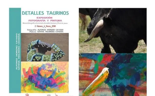 'Detalles Taurinos' en el Museo Etnográfico González Santana