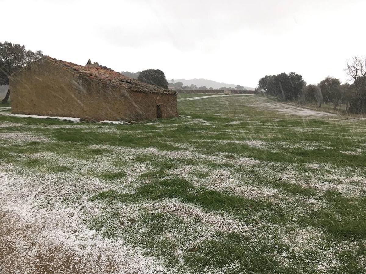 Los caminos y el campo se tiñen de blanco en Monesterio