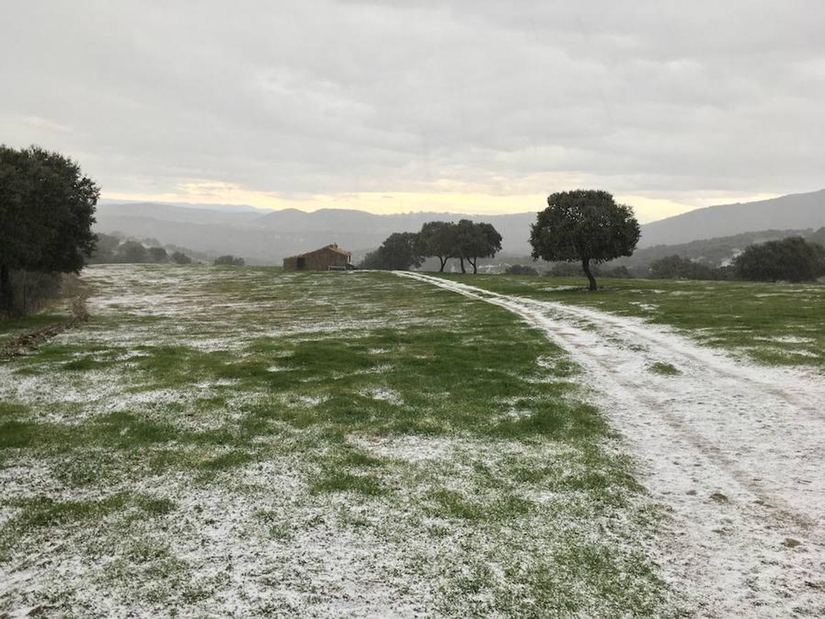 Los caminos y el campo se tiñen de blanco en Monesterio