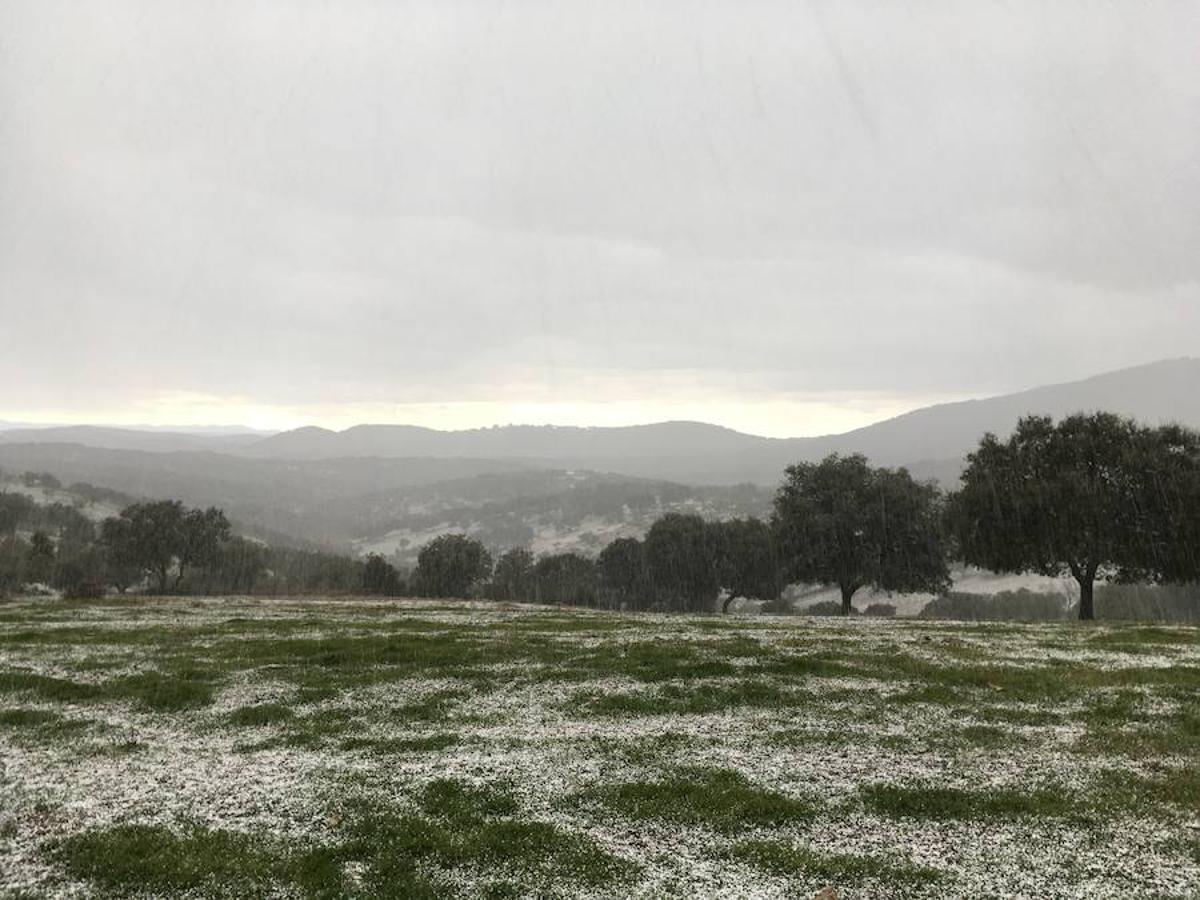 Los caminos y el campo se tiñen de blanco en Monesterio