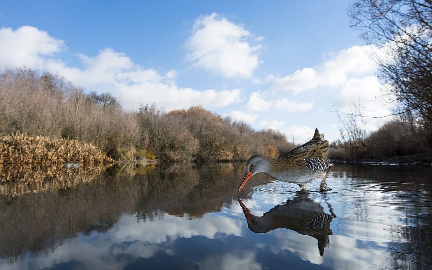 'La laguna' | Primer premio del concurso fotográfico FIO 2018.